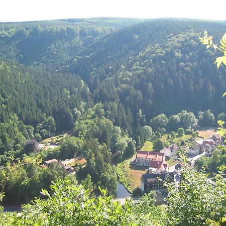 GreenLine Ferienhotel Forelle Thale Buitenkant foto