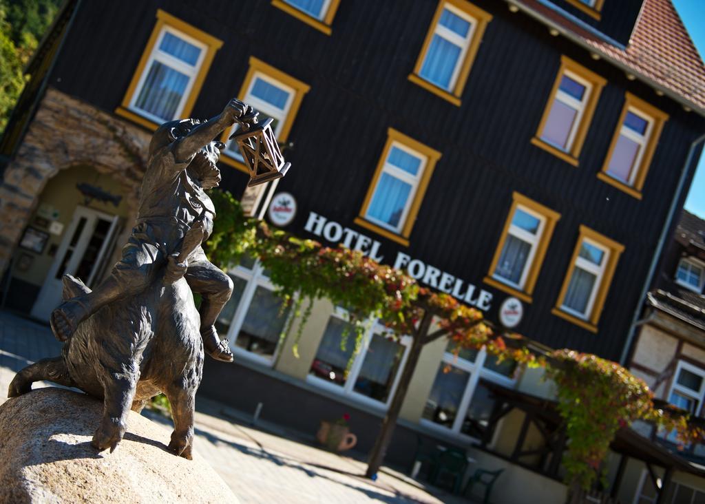 GreenLine Ferienhotel Forelle Thale Buitenkant foto
